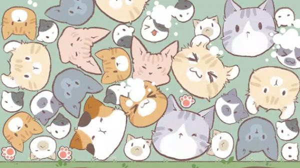 天降猫雨(RainingCats) 1