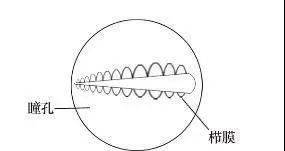 鳞次栉比这个词具体是什么意思？ 1