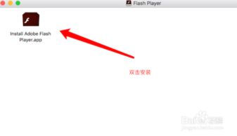苹果电脑如何安装Flash插件？ 3