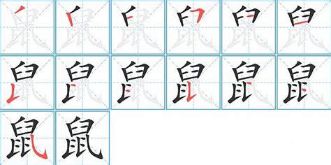 掌握鼠字正确笔画顺序，轻松写好每一个'鼠'字！ 1