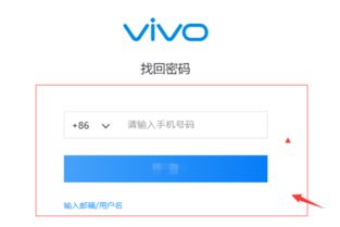 一键直达vivo手机官方登录，安全便捷尽在掌握！ 3