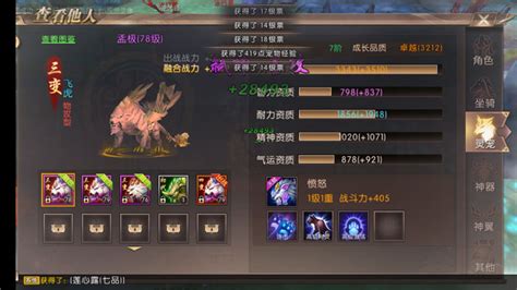 轩辕传奇战士：揭秘最强灵宠搭配！ 1