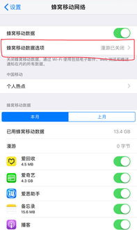 苹果手机蜂窝数据设置全攻略：轻松玩转上网速度！ 3