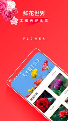 活力花 1