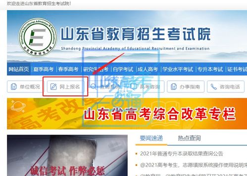 轻松几步，教你如何登录山东省教育招生考试院官网 3