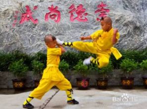 如何有效练习传统武术？ 1