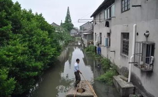 想知道'沔'字怎么念？点这里，一秒学会正确发音！ 2