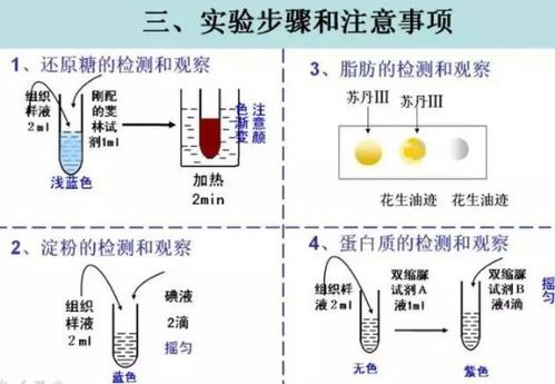 揭秘！生物：跨越文理界限的奇妙学科，你究竟属于哪一边？ 1