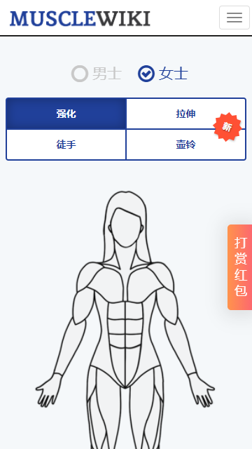 MuscleWiki手机版 截图2