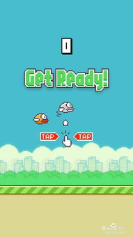 Flappy Bird高手秘籍：解锁高分技巧大揭秘 2