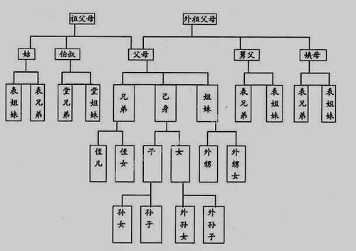 揭秘：表哥究竟属于哪种亲属关系？ 2