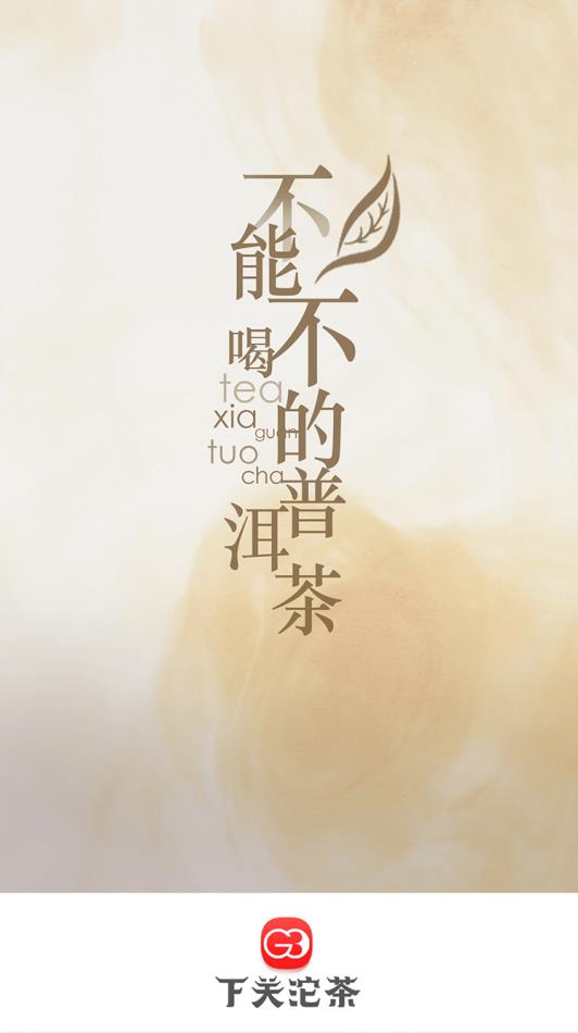 下关沱茶G3 1