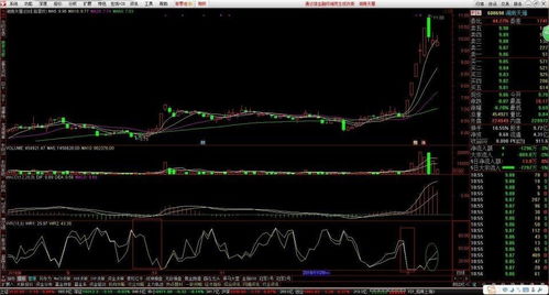 深度解析：WR威廉指标全攻略 2