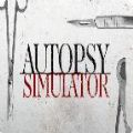 尸检模拟器(Autopsy Simulator)