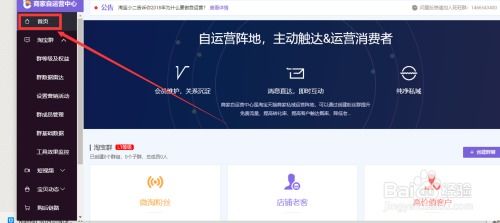 淘宝商家必看：轻松创建高效淘宝群教程 4