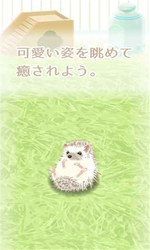 治愈的刺猬育成游戏 1