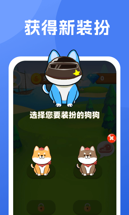柴犬日记 1