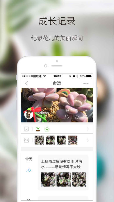 绿手指 截图3