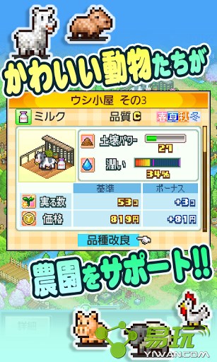 欢乐养猪场赚钱版 1