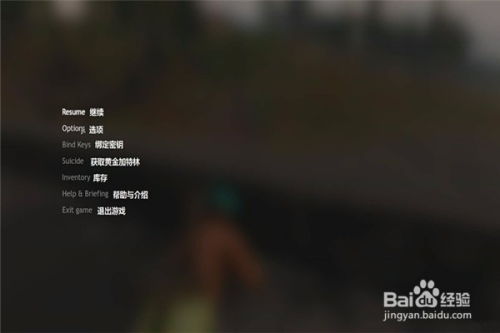 《Cuisine Royale》游戏中文设置全攻略 2