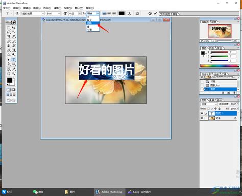 如何在图片上轻松添加签名 3