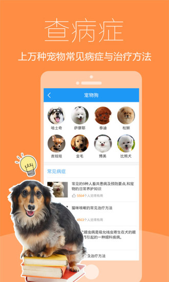 爱宠医生 截图5