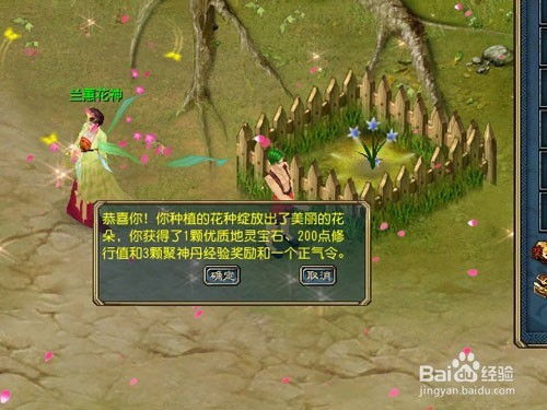 《征服OL》幽兰花开任务怎么做？详细攻略 2
