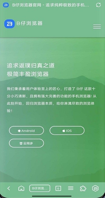 B仔浏览器资源嗅探版 截图2