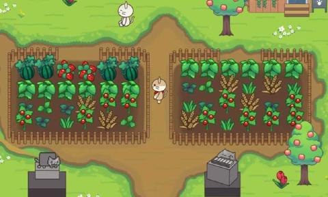 猫咪之森 截图2