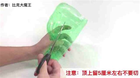 变废为宝：废旧瓶子制作创意花瓶指南 2