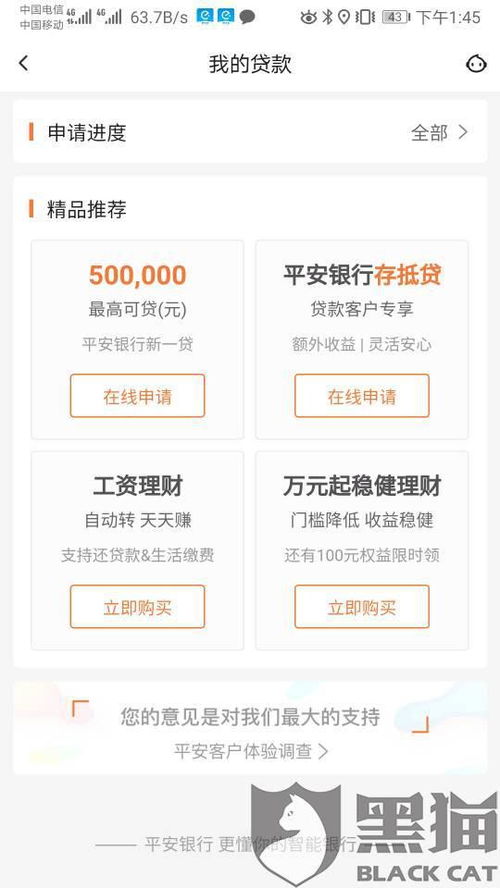 平安银行个人贷款怎么申请？ 4