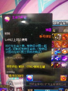 DNF生命之泉：揭秘高效获取秘籍 2