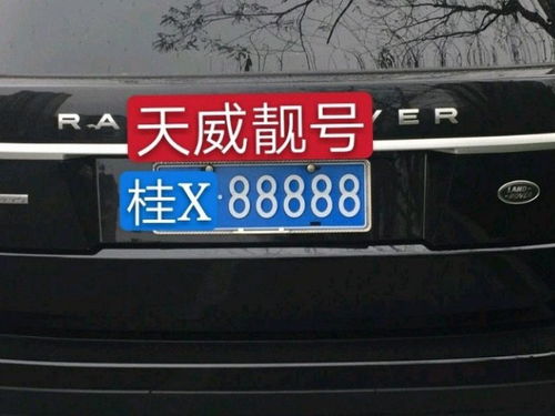 山东车牌的图案是什么样的？ 2