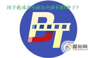 解锁新技能！用手机或电脑轻松搞定BT种子解析 1
