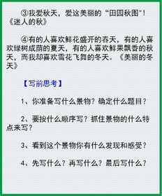 掌握小学写作的多种顺序技巧 4