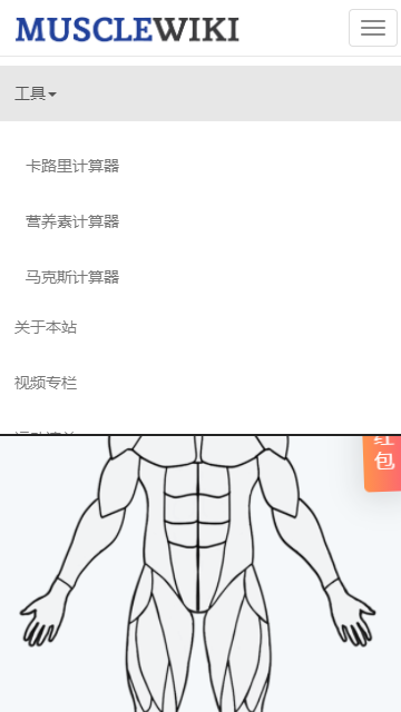 MuscleWiki手机版 截图3