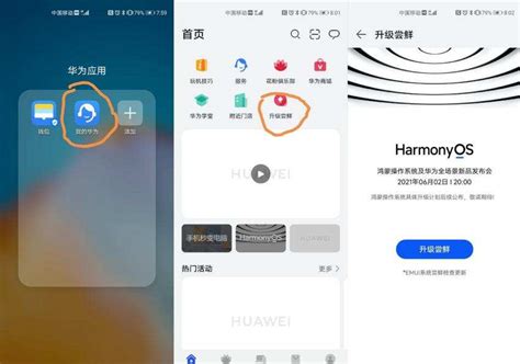 一键解锁！华为手机升级鸿蒙(HarmonyOS)的简易指南 3