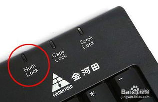 了解键盘功能键：Print Screen、Scroll Lock与Pause键详解 2