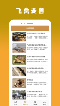 飞禽大全app 1