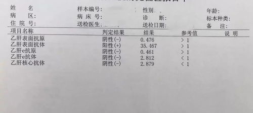 乙肝五项检测结果解析 3