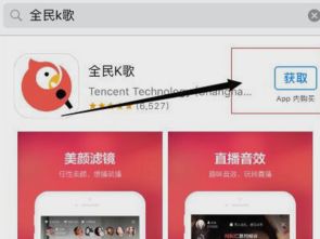如何在手机上安装全民K歌应用？ 3