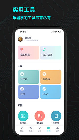 恩雅音乐调音器 截图4