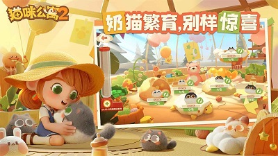 猫咪公寓2最新版 截图5