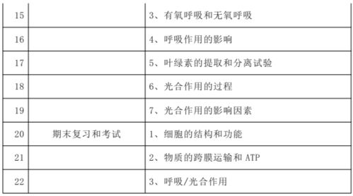 双排键全攻略：一键解锁所有知识盲点 3