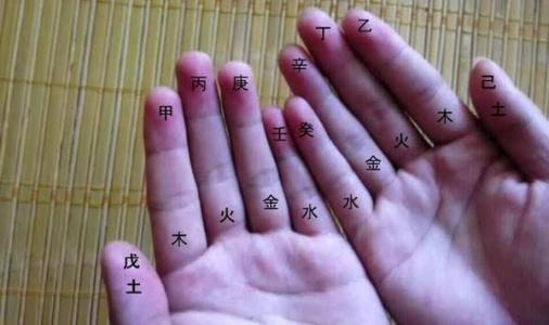 五指的名称 3