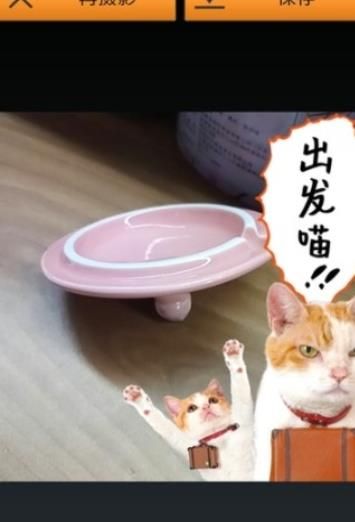 美萌喵相机 截图3