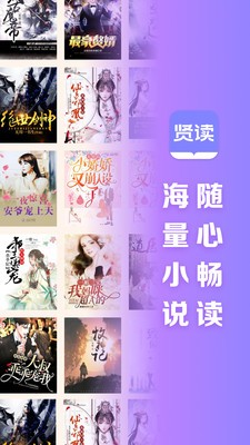 贤读小说最新版 截图4