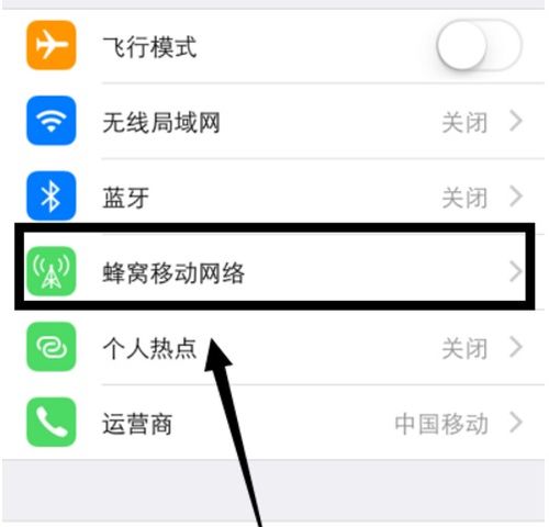 怎样查看手机本月（当天）流量使用情况？ 1