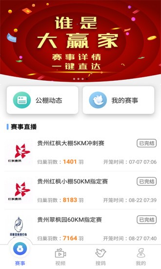 赛鸽助手软件 1