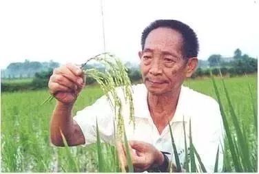 袁隆平逝世的原因 1